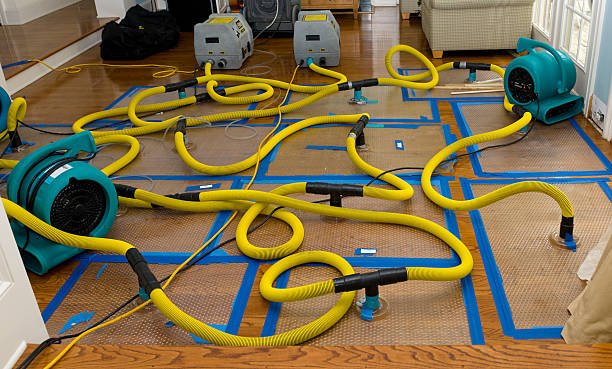 Professional Structural Drying And Dehumidification technician working in Stow, MA